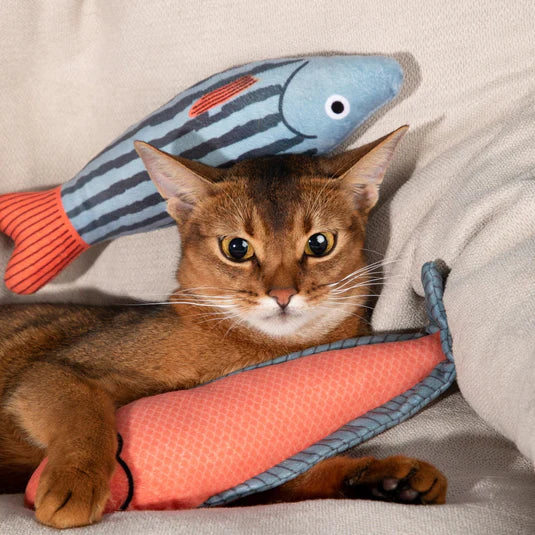 Interactive Catnip Fish Toy