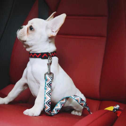 Colorful Series Car Safety Belt for Dogs - PEKOO