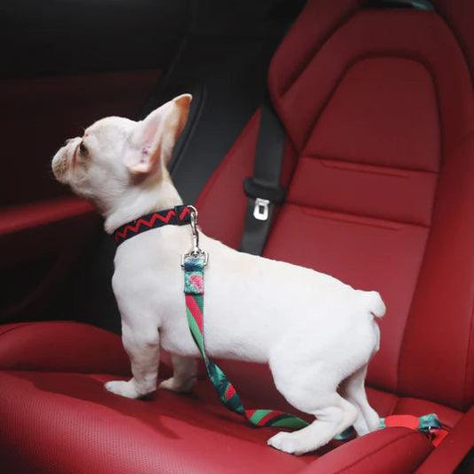 Colorful Series Car Safety Belt for Dogs - PEKOO