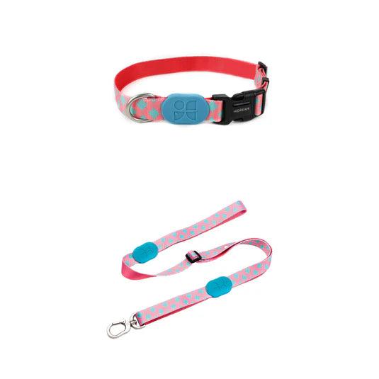 Colorful Series Dog Collar Bundle - PEKOO