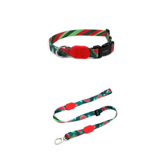 Colorful Series Dog Collar Bundle - PEKOO