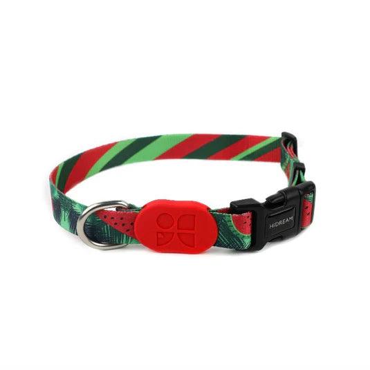 Colorful Series Dog Collar Bundle - PEKOO