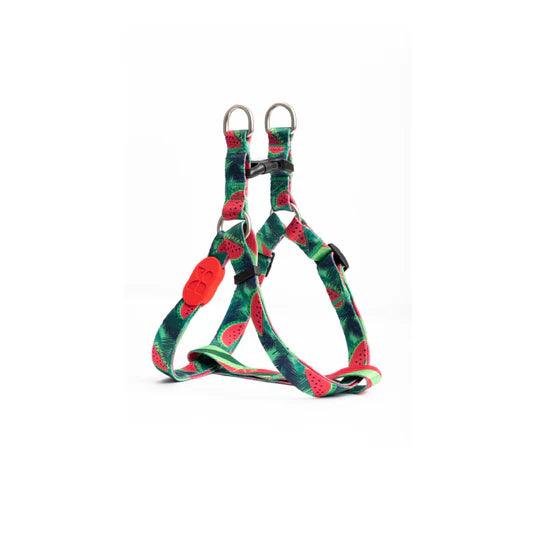 Colorful Series Y Dog Harness Bundle - PEKOO