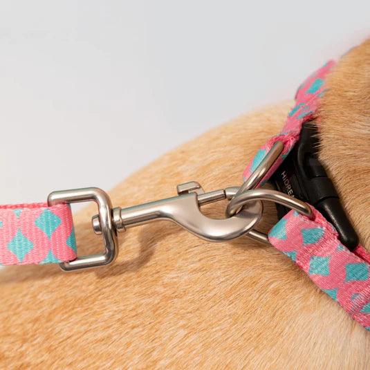 Colorful Series Y Dog Harness Bundle - PEKOO