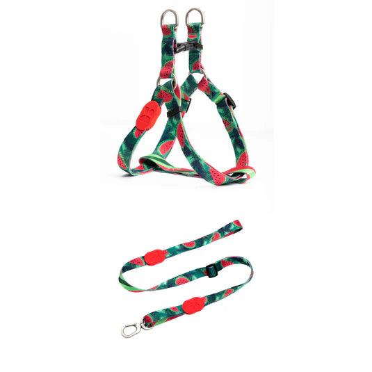 Colorful Series Y Dog Harness Bundle - PEKOO