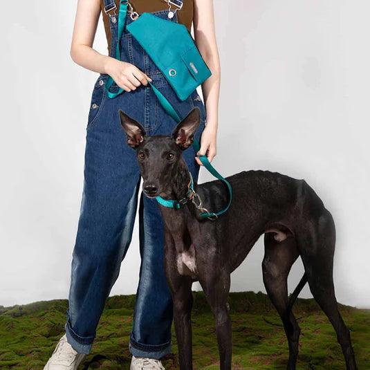 Bobo Series Dog Harness Walk Kit - PEKOO