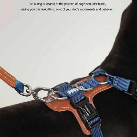 Bobo Series Dog Harness Walk Kit - PEKOO