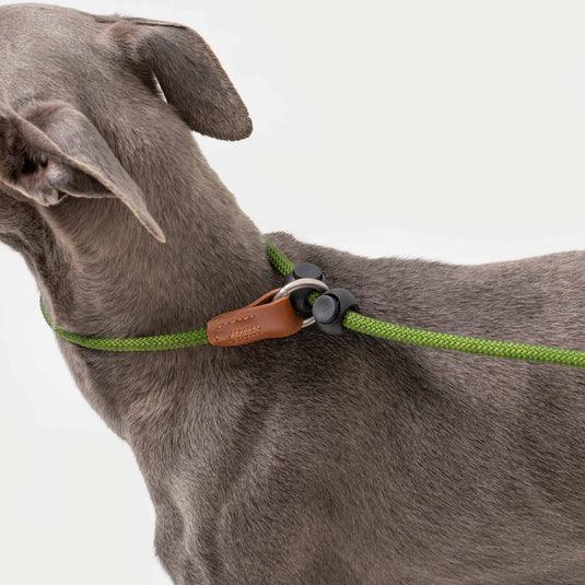 Leather Handle Control Leash - PEKOO