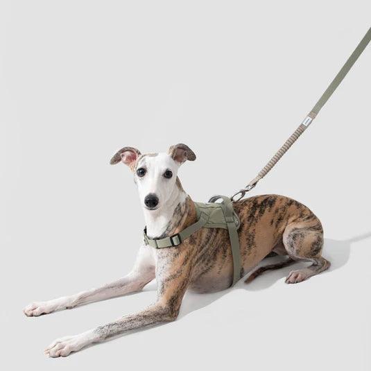 Valley Series Dog Harness Vest Kit - PEKOO