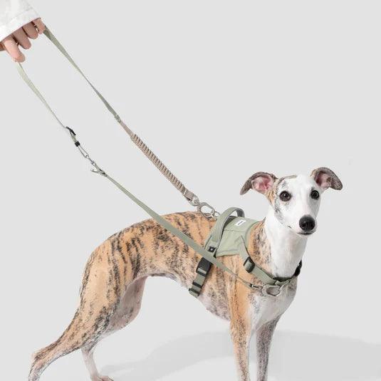 Valley Series Dog Harness Vest Kit - PEKOO